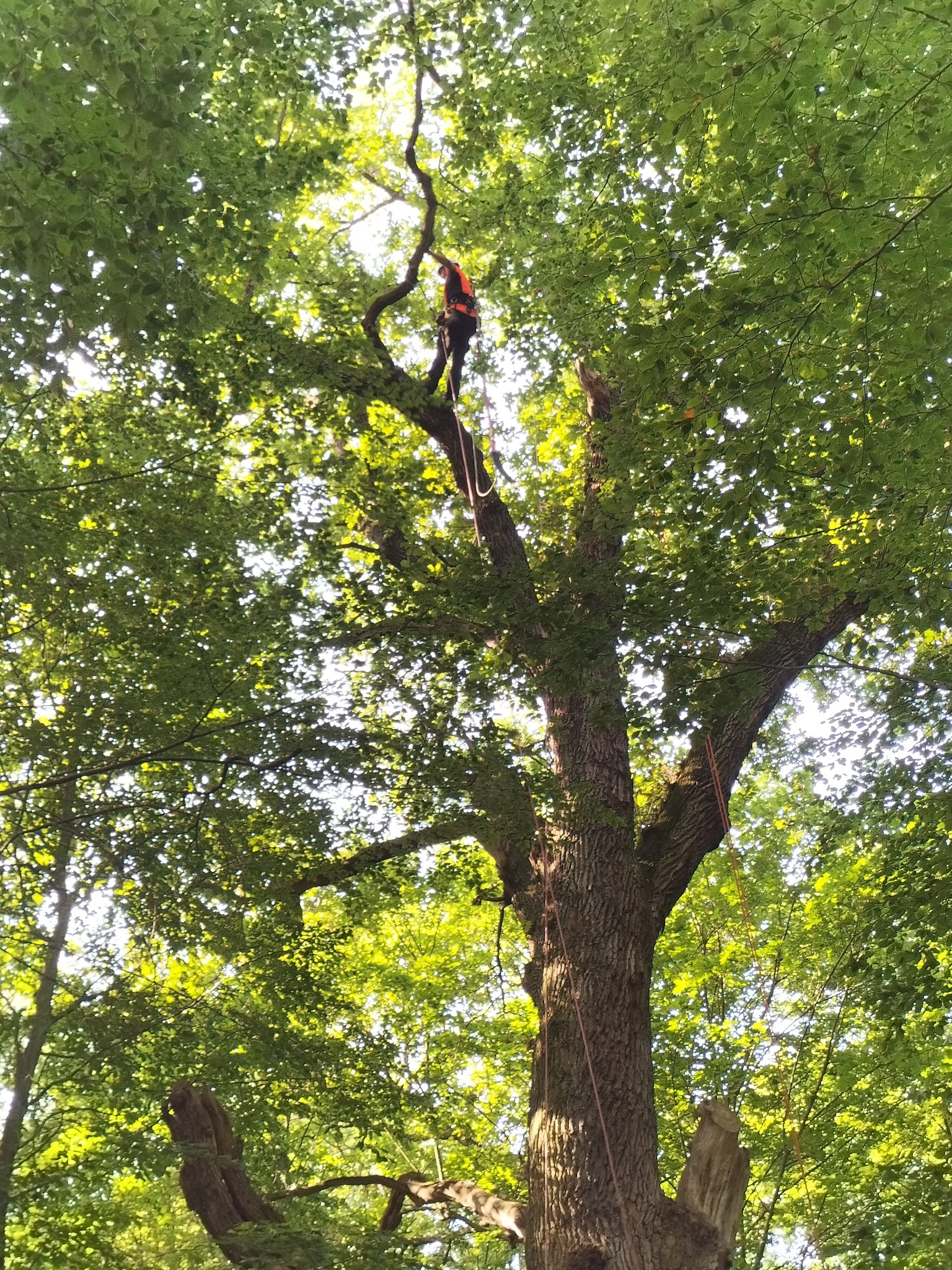 Park Krajobrazowy Wysoczyzny Elbląskiej