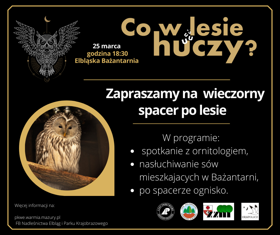 Co w lesie huczy?