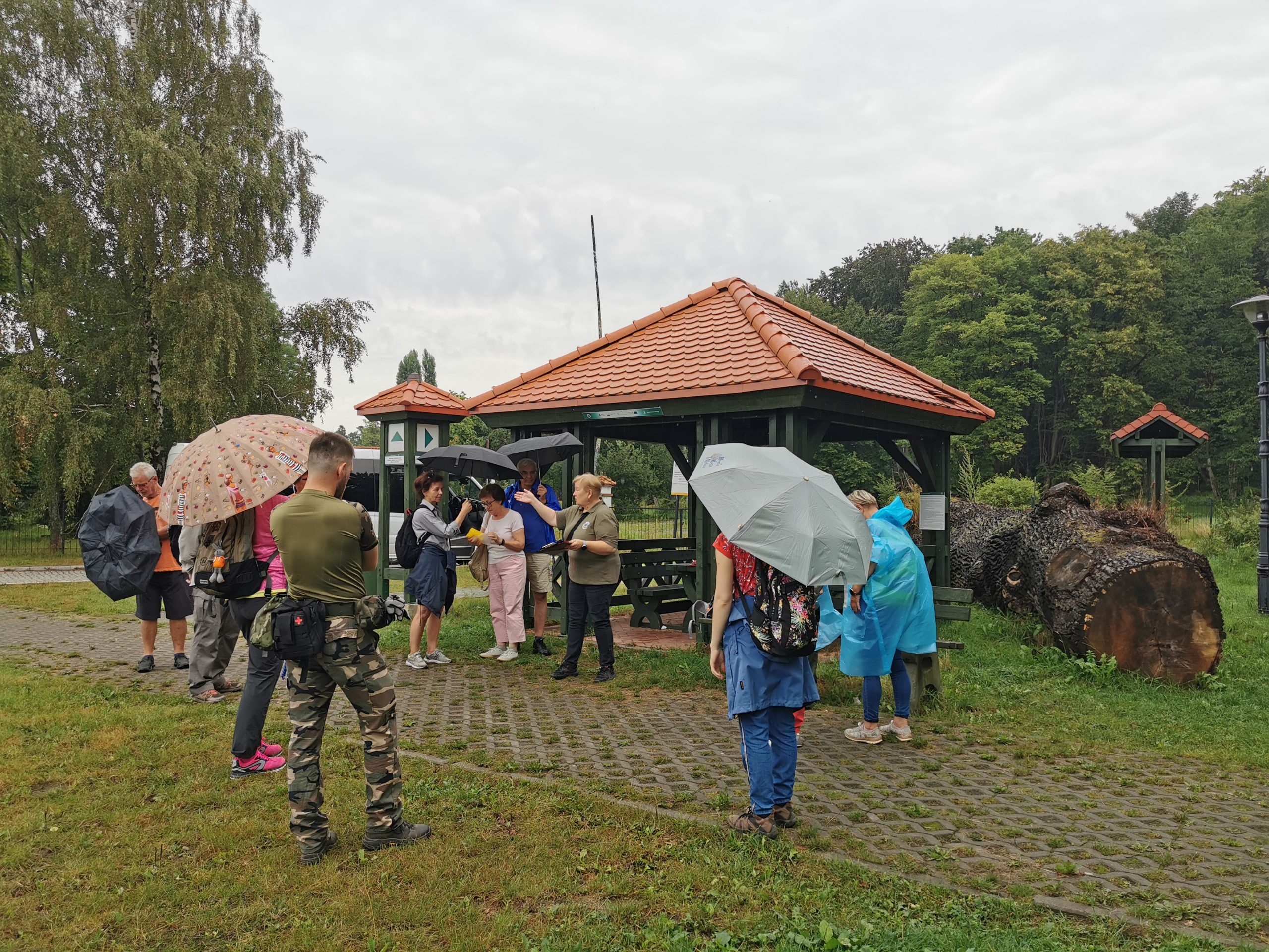 Poznawanie Kadyn