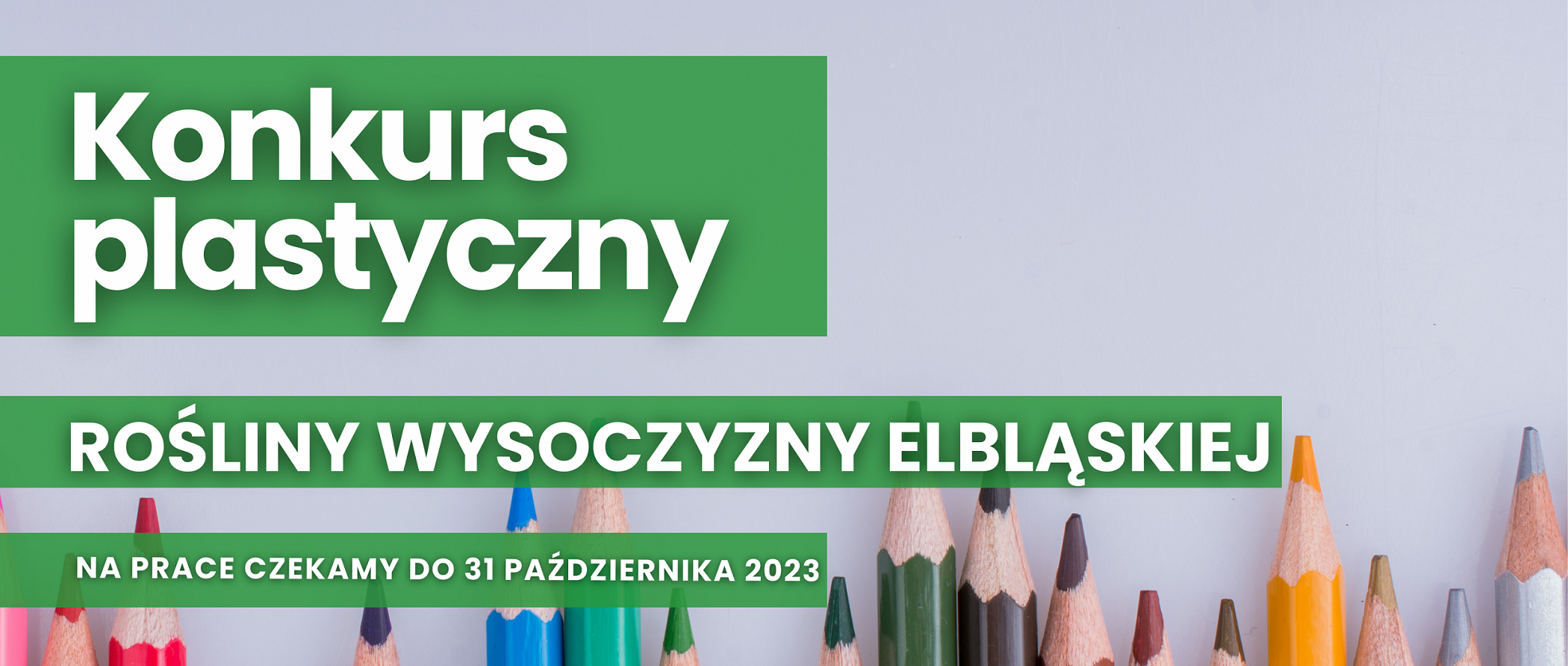 Konkurs plastyczny „Rośliny Wysoczyzny Elbląskiej”