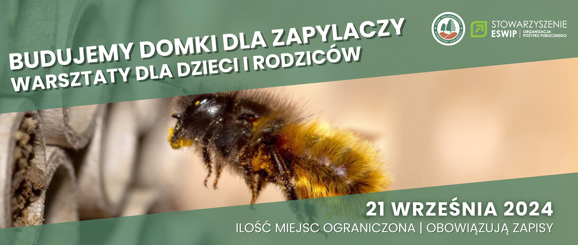 Warsztaty | Domki dla owadów