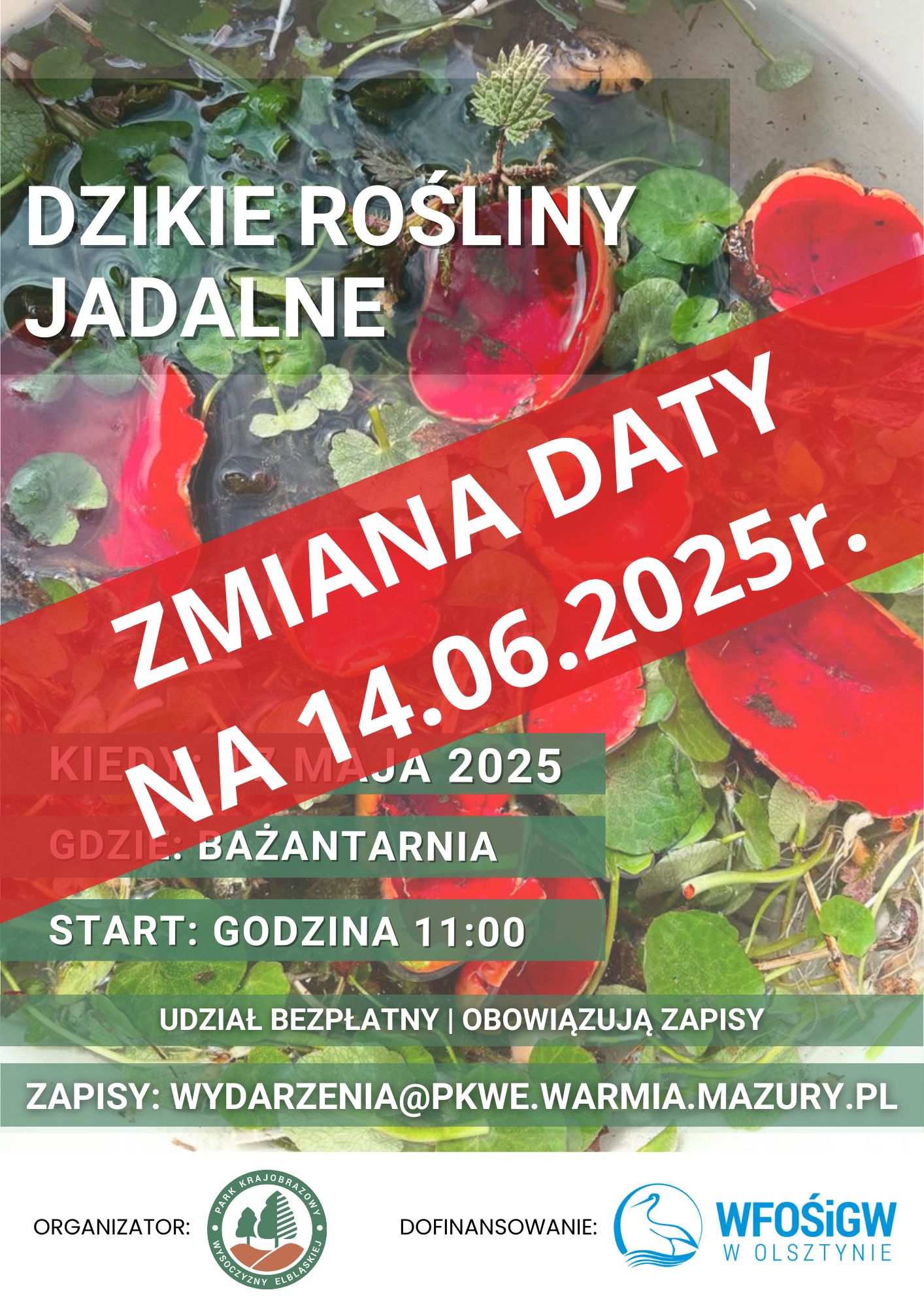 BRAK MIEJSC | DZIKIE ROŚLINY JADALNE | Warsztaty terenowe w Bażantarni