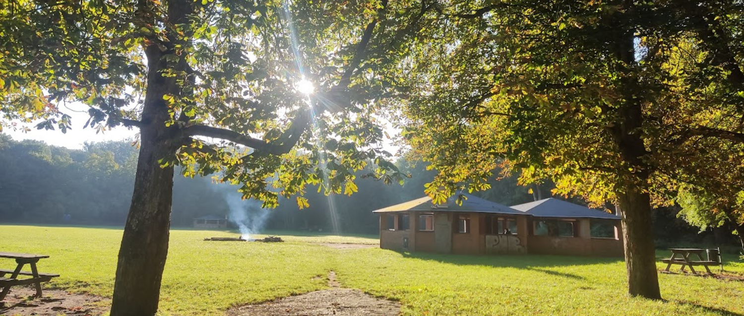 Piknik Edukacyjny „W Krainie Buka” – świętuj z nami 40-lecie Parku!