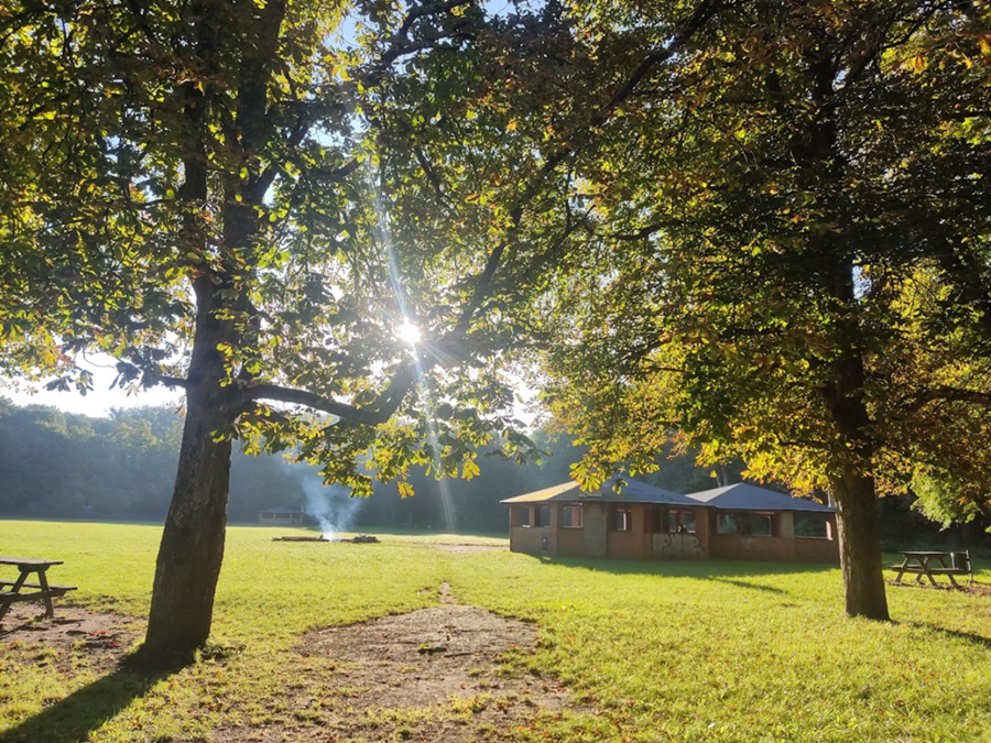Piknik Edukacyjny „W Krainie Buka” – świętuj z nami 40-lecie Parku!