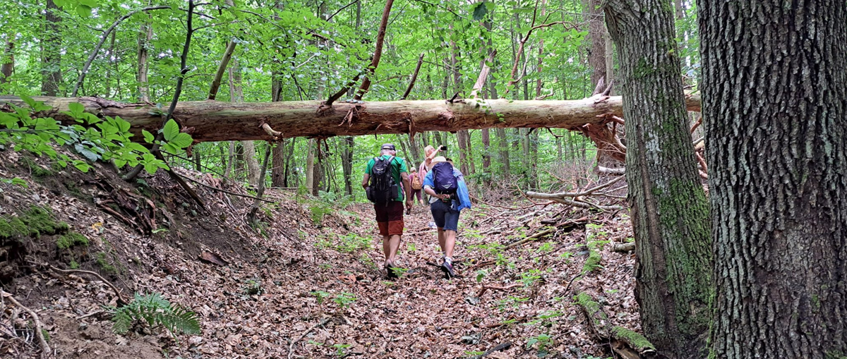 Początek jesieni na Pomorskiej Drodze św. Jakuba