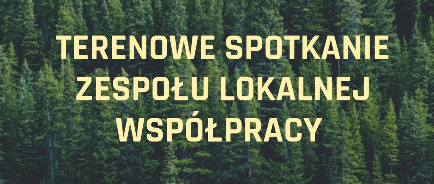 Terenowe Spotkanie Zespołu Lokalnej Współpracy