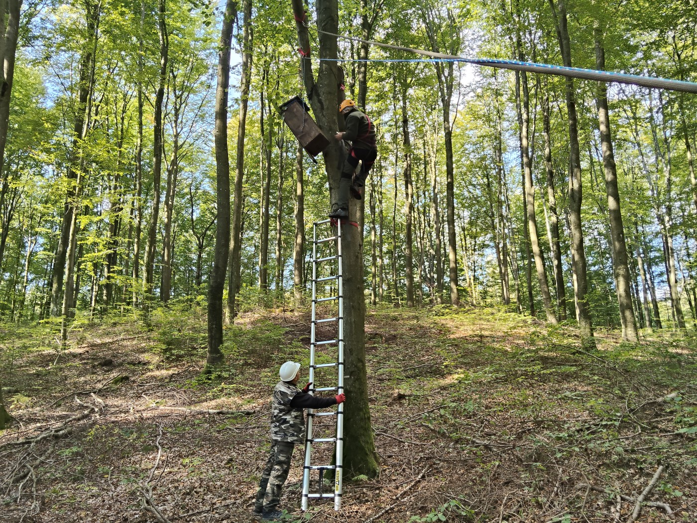 Kolejne budki czekają na lokatorów
