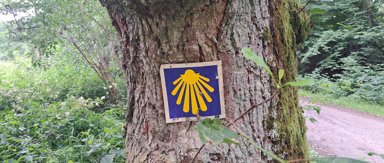 Z Tolkmicka do Suchacza Pomorską Drogą św. Jakuba