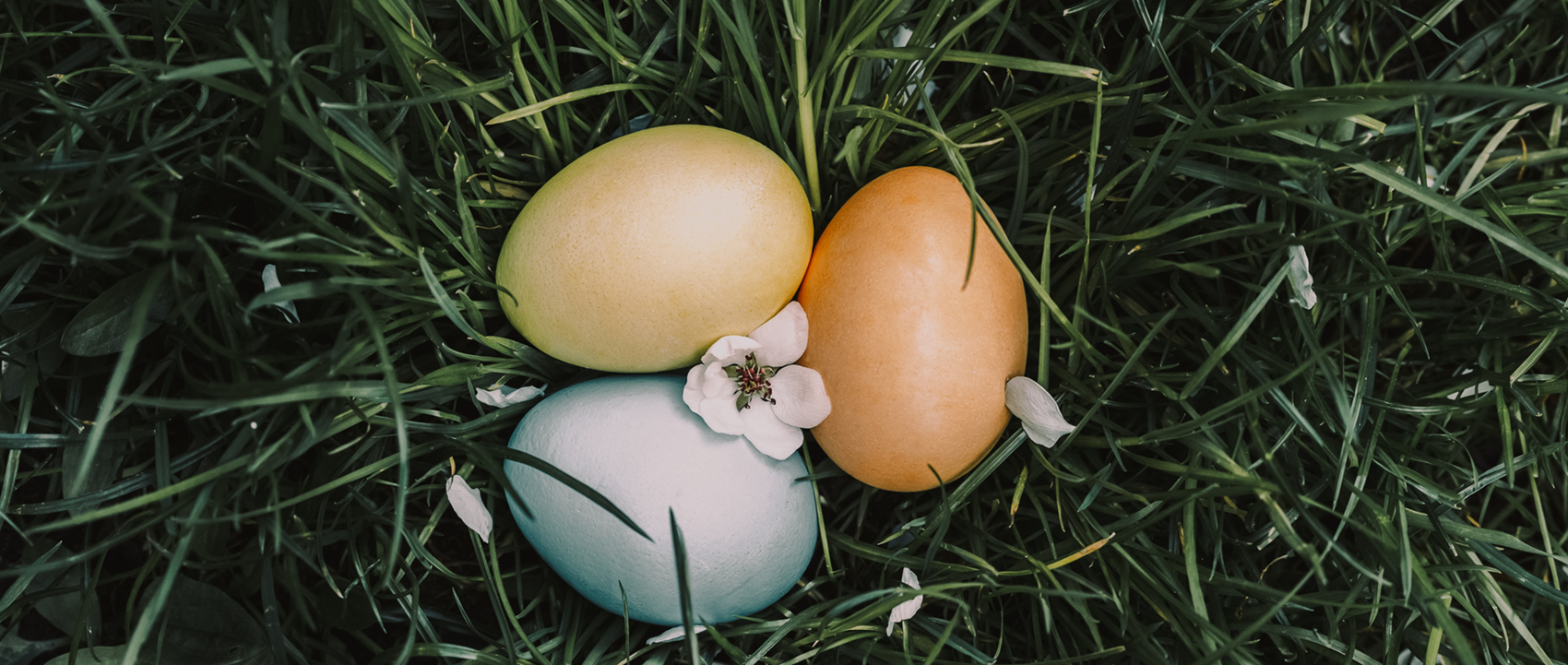 Radosnej Wielkanocy!