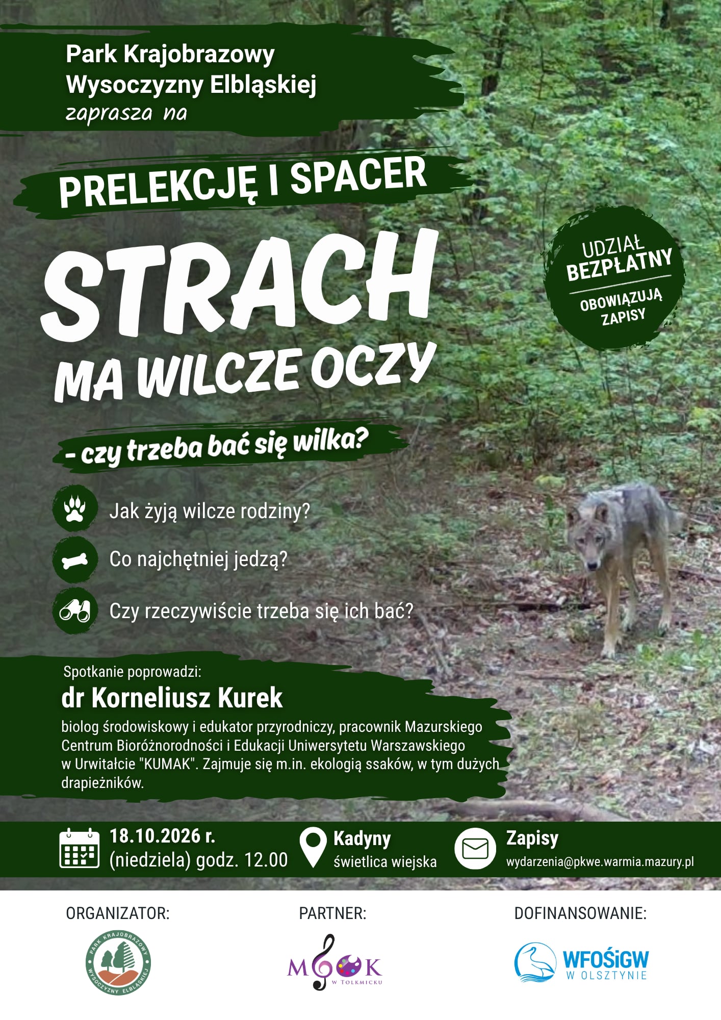 Strach ma wilcze oczy – czy trzeba bać się wilka?